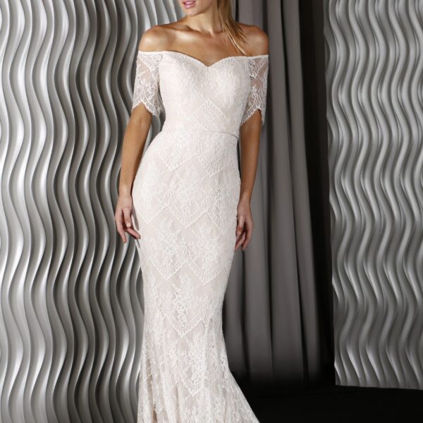 Elegant Lace Jadore Gown, J9058